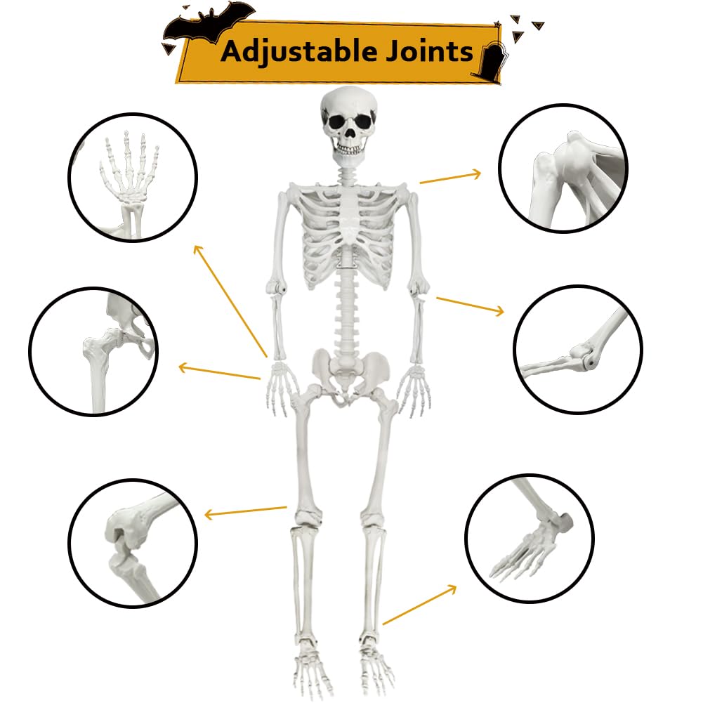 Life Size Skeleton with Movable Joints G728743