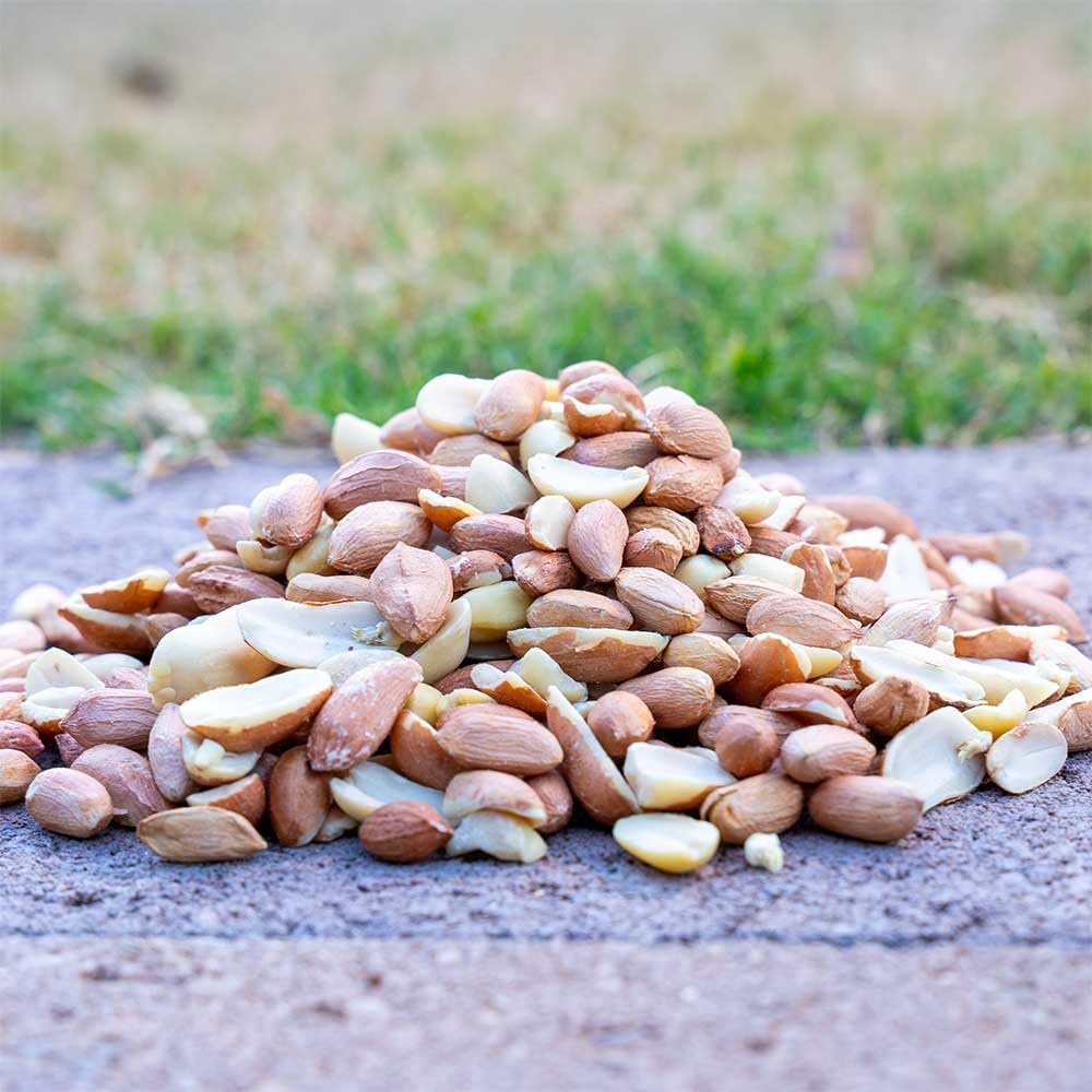 10 Pound Peanuts Y720
