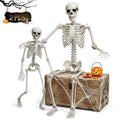 Life Size Skeleton with Movable Joints G728743
