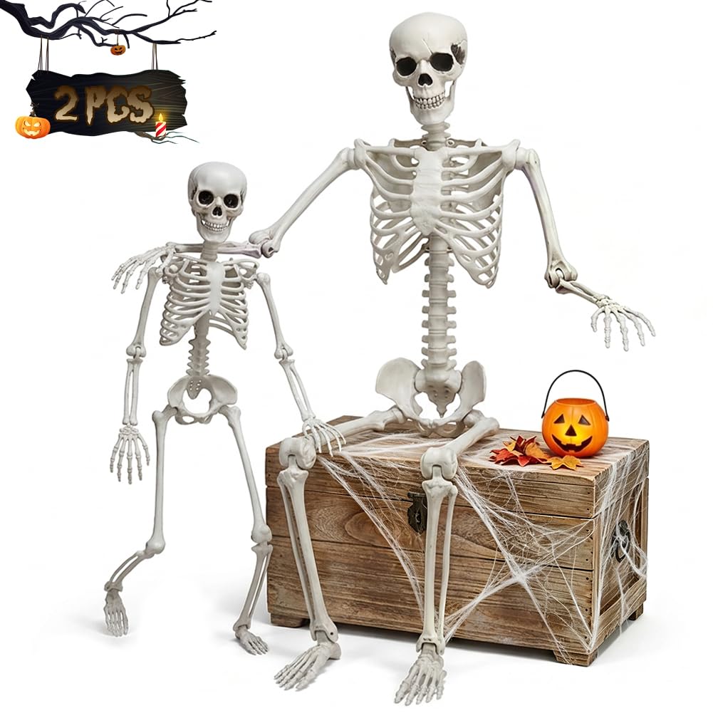 Life Size Skeleton with Movable Joints G728743