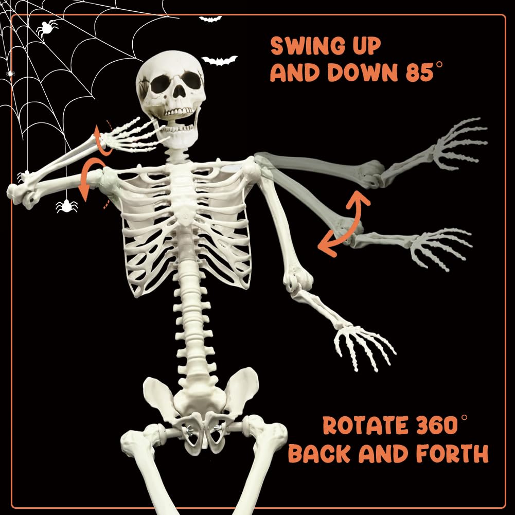 Life Size Skeleton with Movable Joints G728743