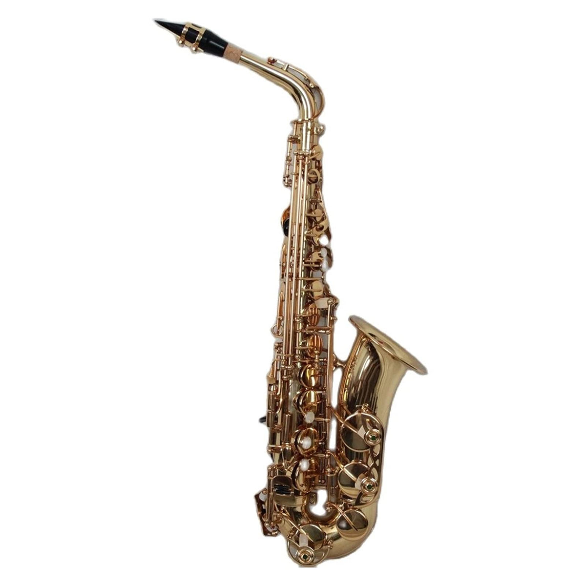 Alto Saxophone Set O4643