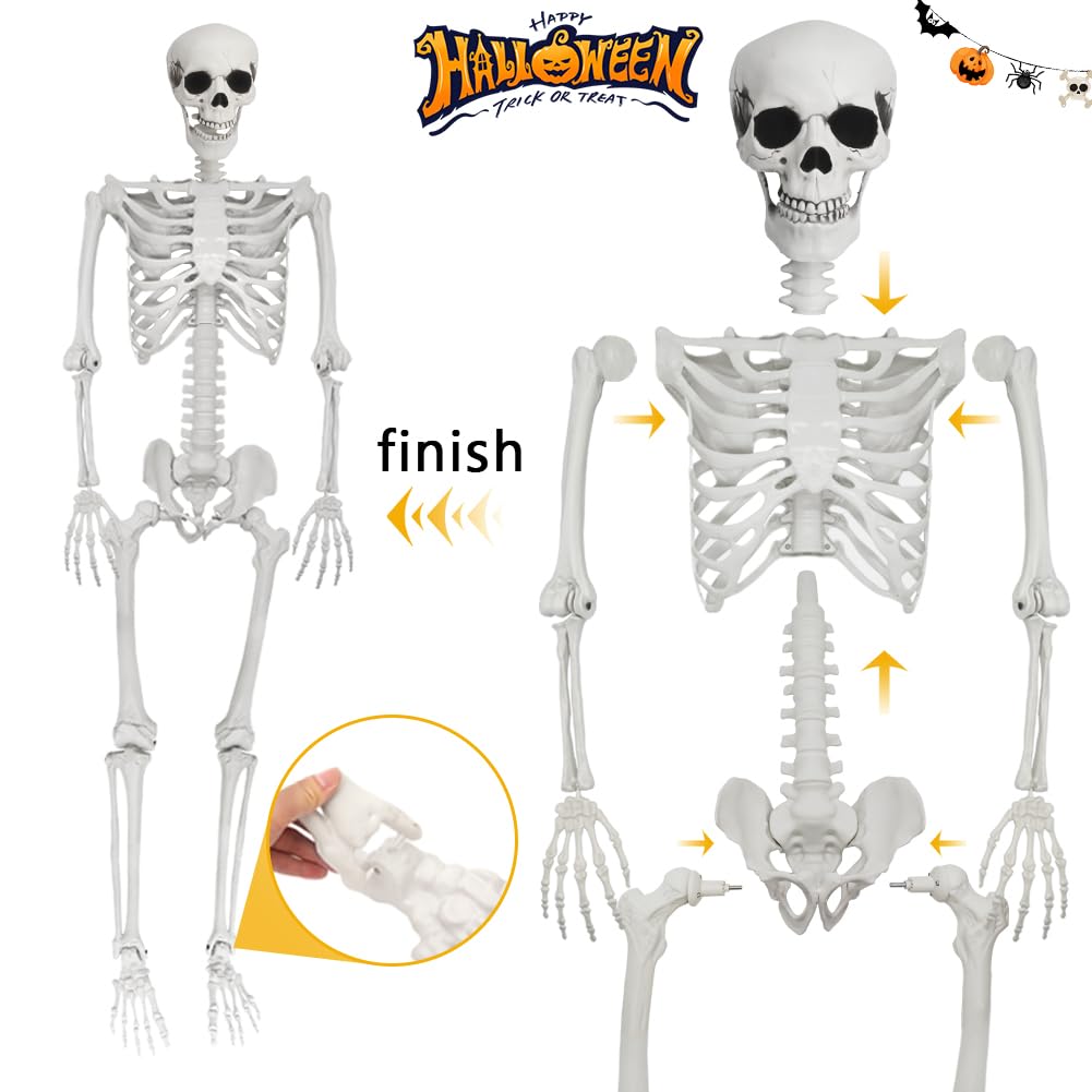 Life Size Skeleton with Movable Joints G728743