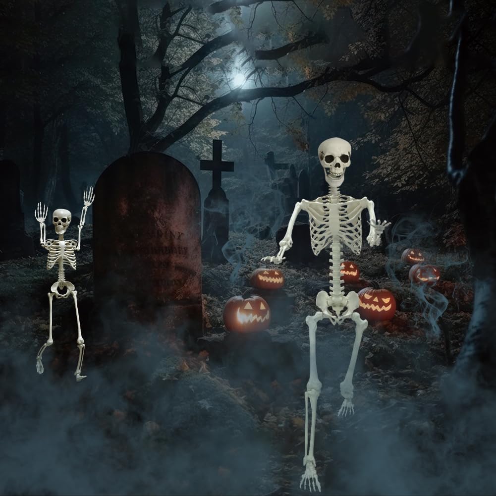 Life Size Skeleton with Movable Joints G728743