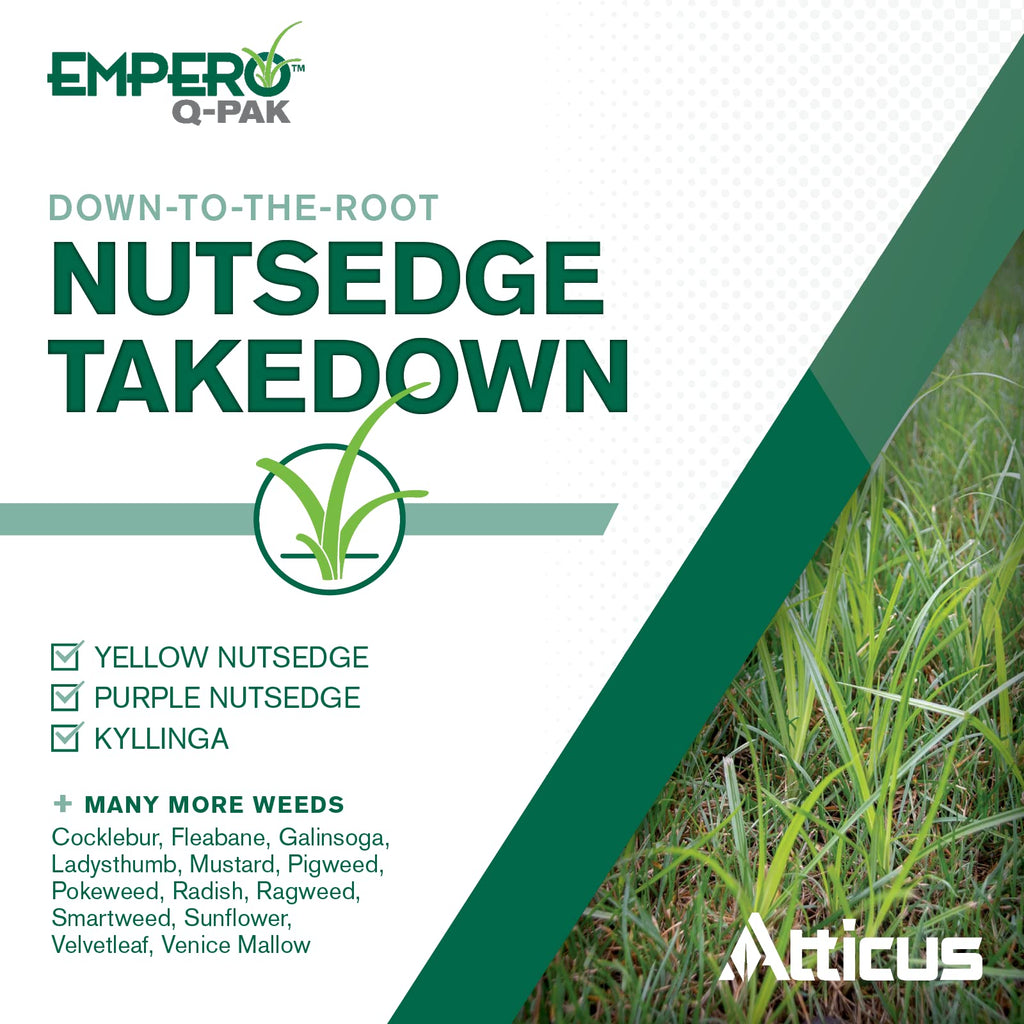 2 Pack Turf Herbicide I62473