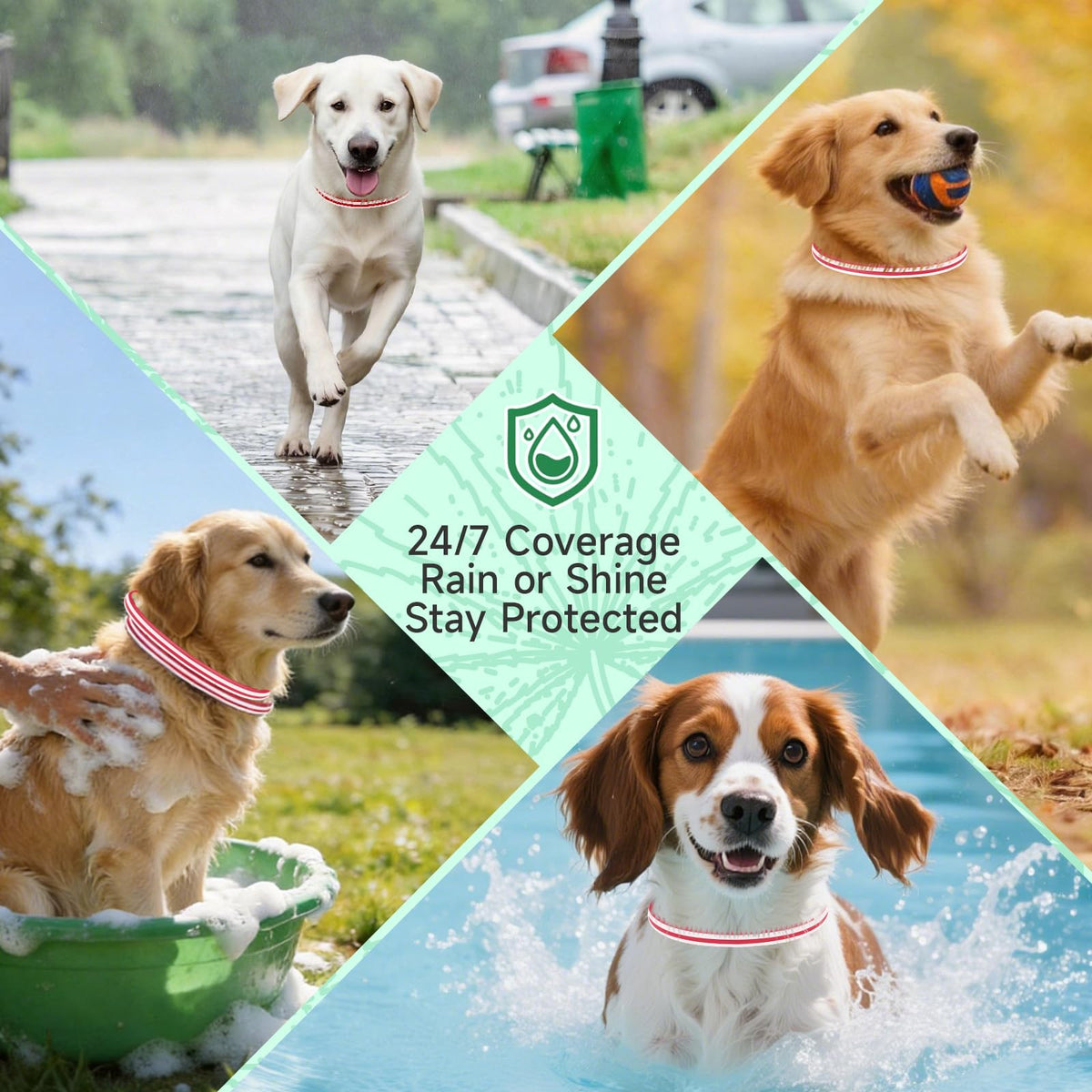 4 Pack Flea and Tick Collar for Dogs A6919
