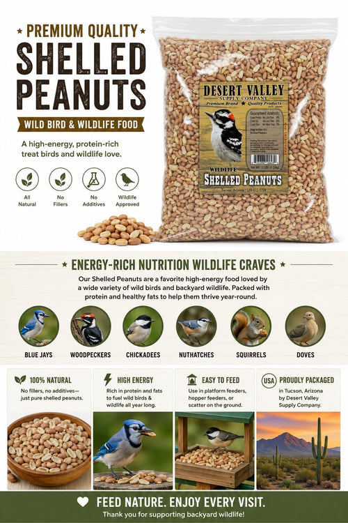 10 Pound Peanuts Y720