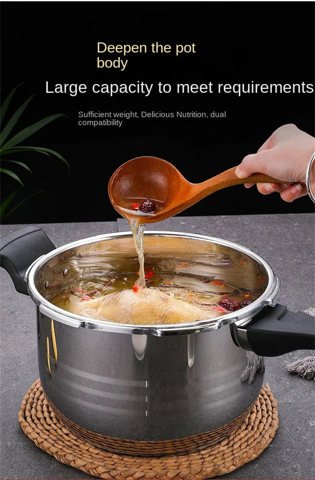 Stainless Steel 3L Induction Compatible Stove Top Pressure Cooker C9221