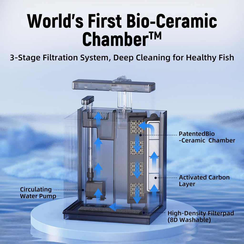 2 Gallon Betta Fish Tank with Filter & Light B38653