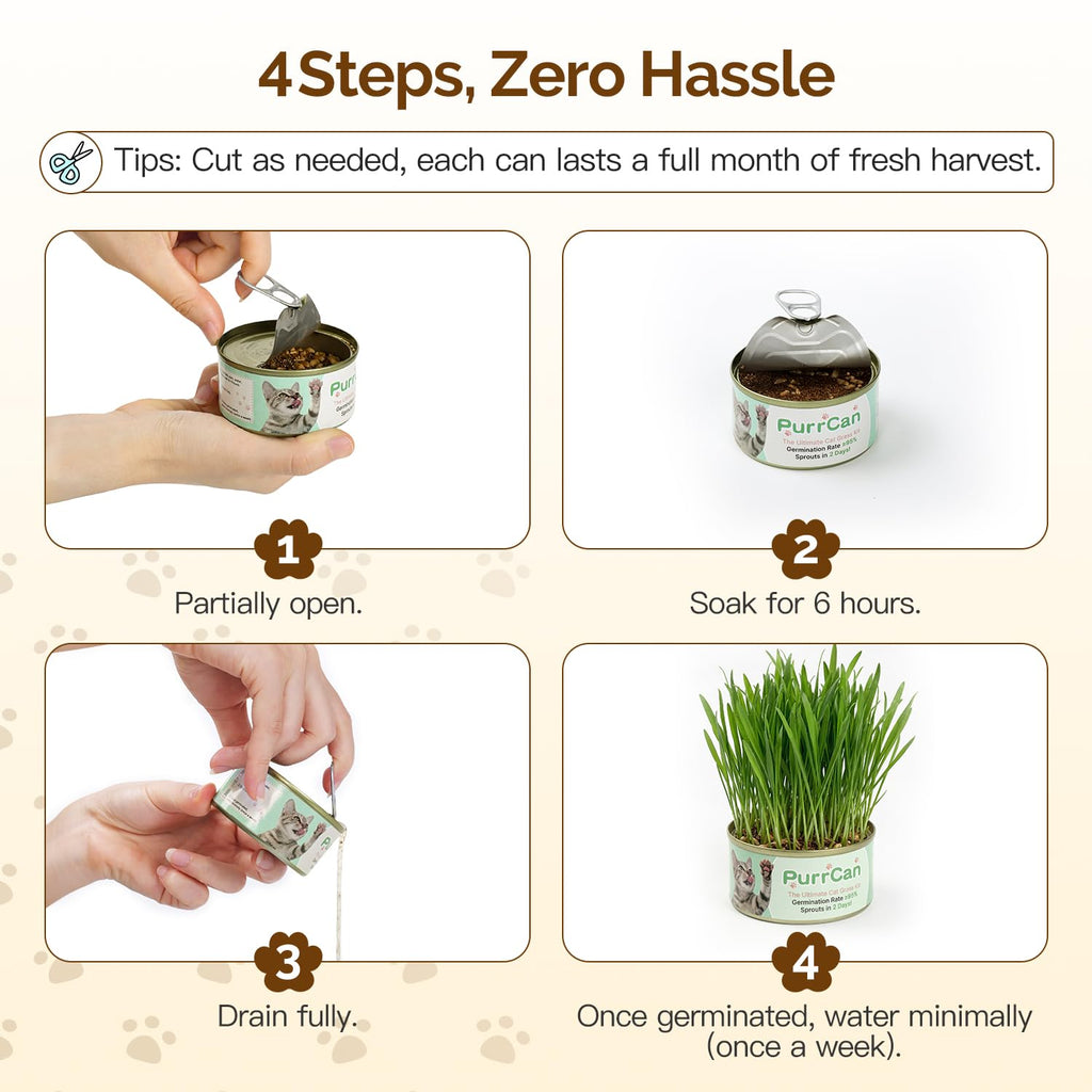 Cat Grass Kit 6 Cans Organic Wheat Seeds U17954