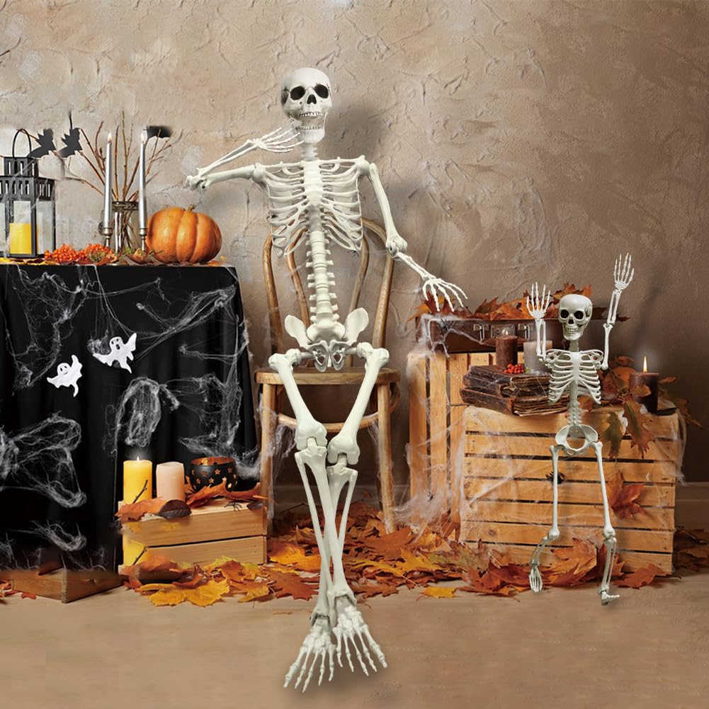 Life Size Skeleton with Movable Joints G728743