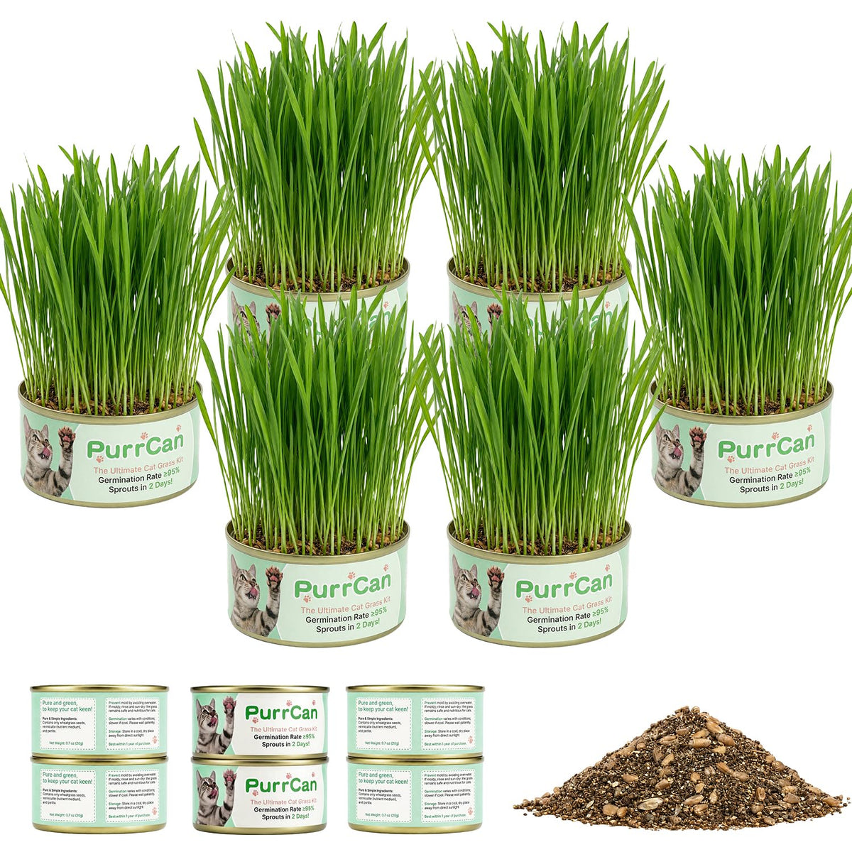 Cat Grass Kit 6 Cans Organic Wheat Seeds U17954