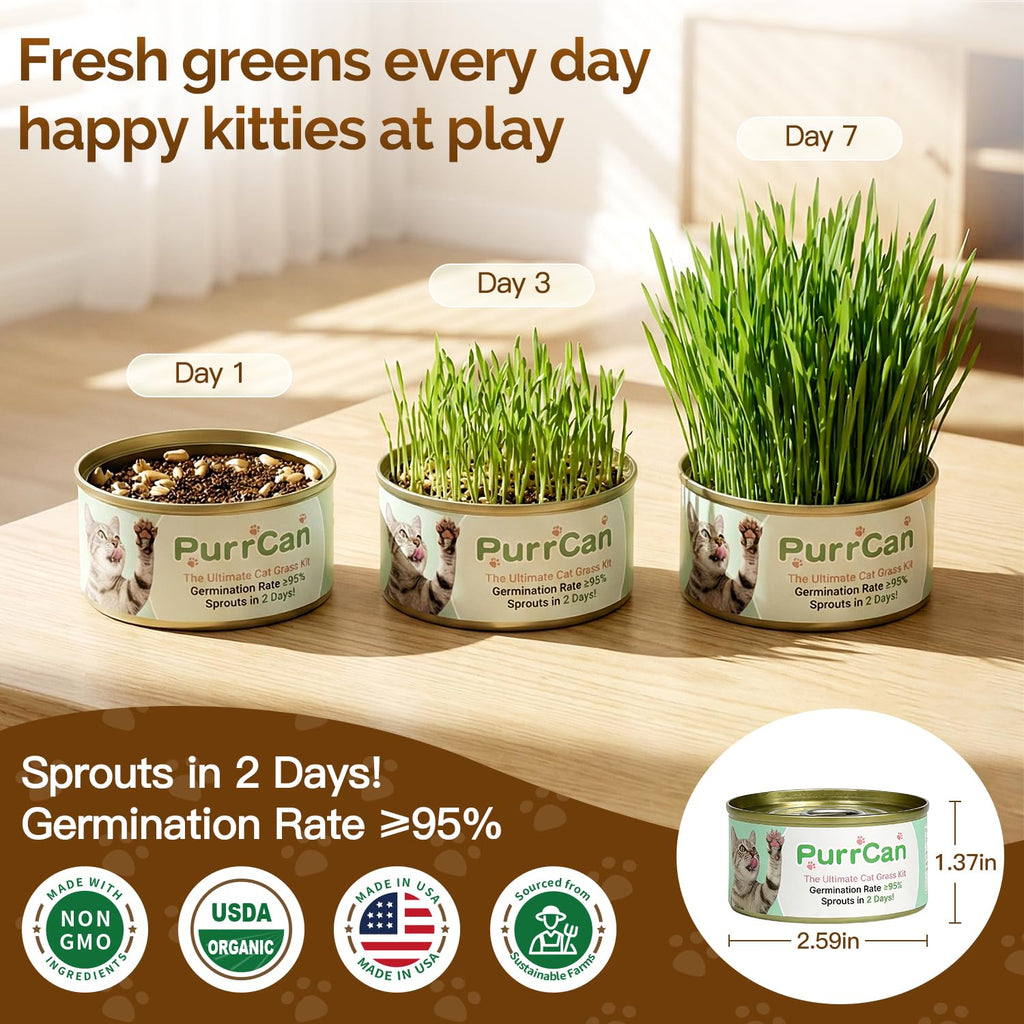 Cat Grass Kit 6 Cans Organic Wheat Seeds U17954